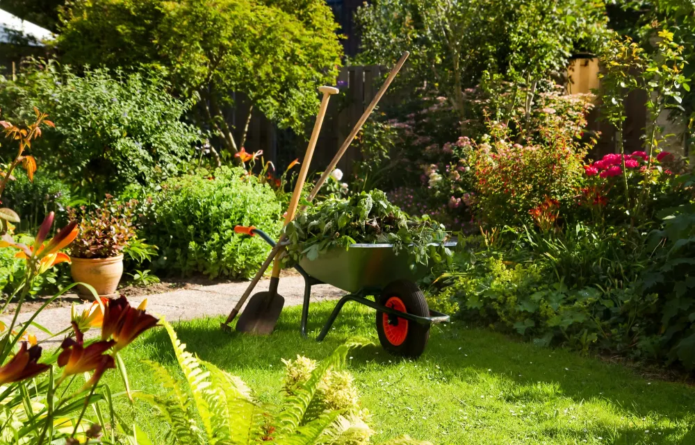 jardin (1)